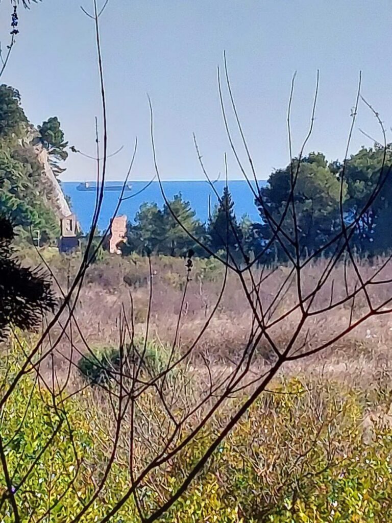 Plac 901 m2 u Sutomoru u naselju Bjelisi