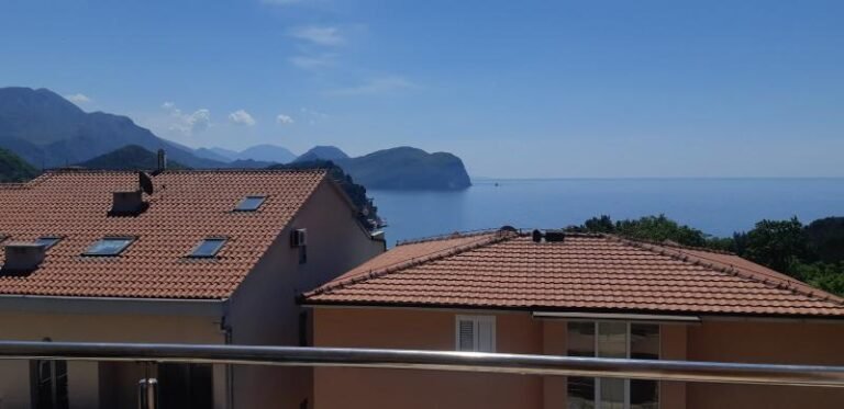 One bedroom apartment for one year with a garage in Petrovac