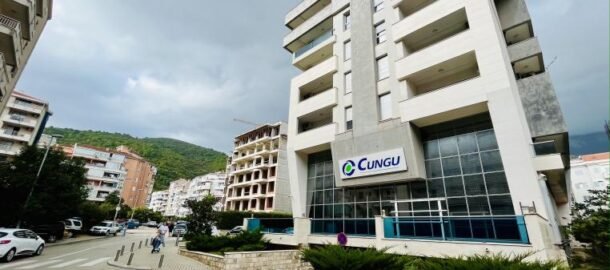 Two-room furnished apartment in the Cungu house in Budva!