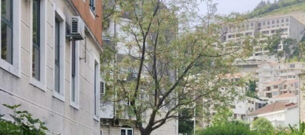 Студия в центре Будвы район Госпоштина!