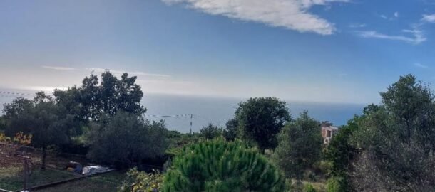 Земельный участок 376 м2 в Загоре со строением и с видом на море!