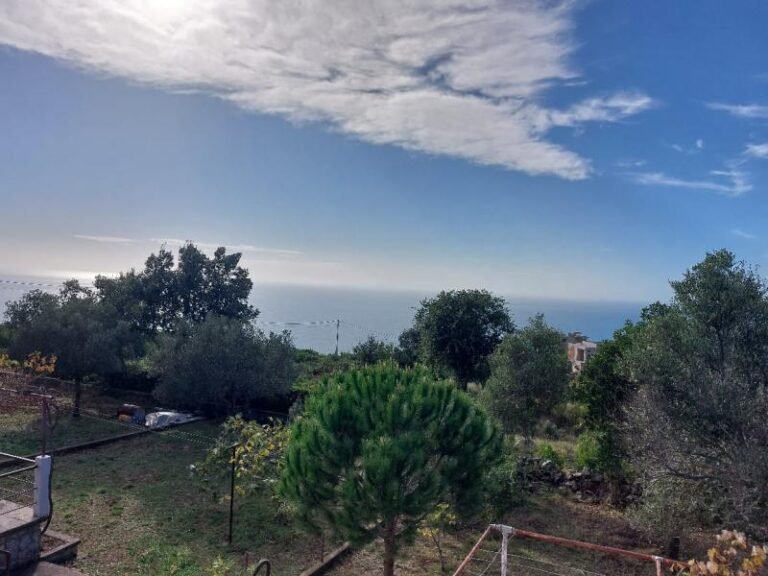 Plot of land 376 m2 in Zagora with a building and overlooking the sea!