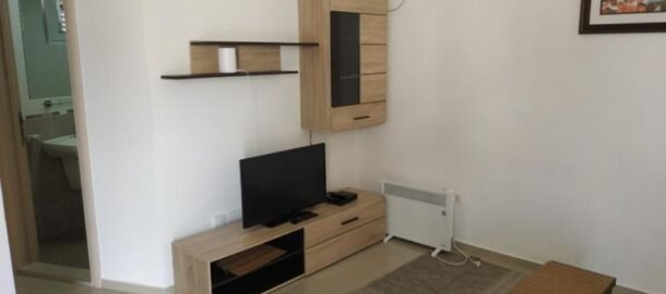 One bedroom apartment in Becici for a year