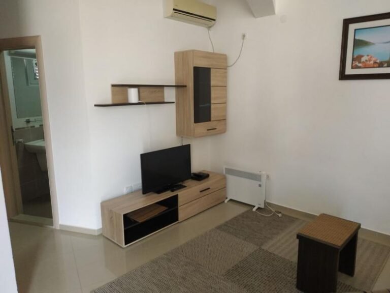 One bedroom apartment in Becici for a year