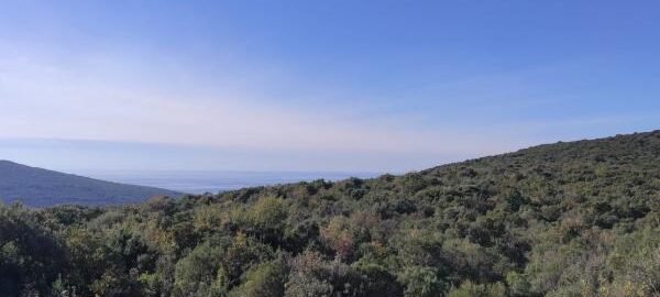 Урбанизированный участок в Кубаcи, општина Котор с видом на море!