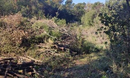 Земельный участок 1290 м2 в Кубаcи, општина Котор !