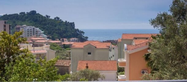 One-bedroom apartment in Petrovac with sea view for rent until July 1, 2025!