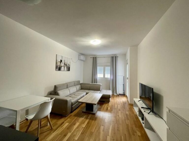 Jednosoban stan sa parkingom na 1 godinu u blizini Mega Mall-a!