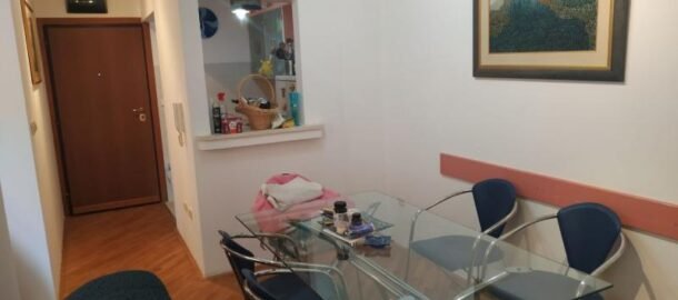 Two-bedroom apartment in Budva on Obilasnica!