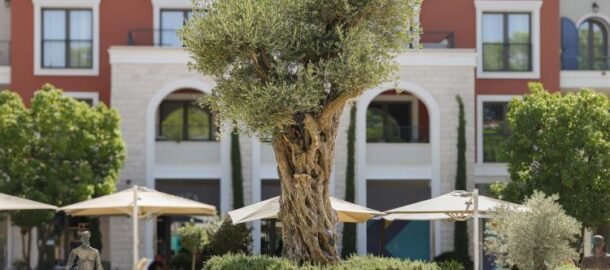 Luksuzan jednosoban stan u Luštica Bay Centrale