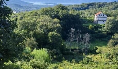 Plot of 300 m2 with sea view in Radanovići next to the restaurant Velji Mlini