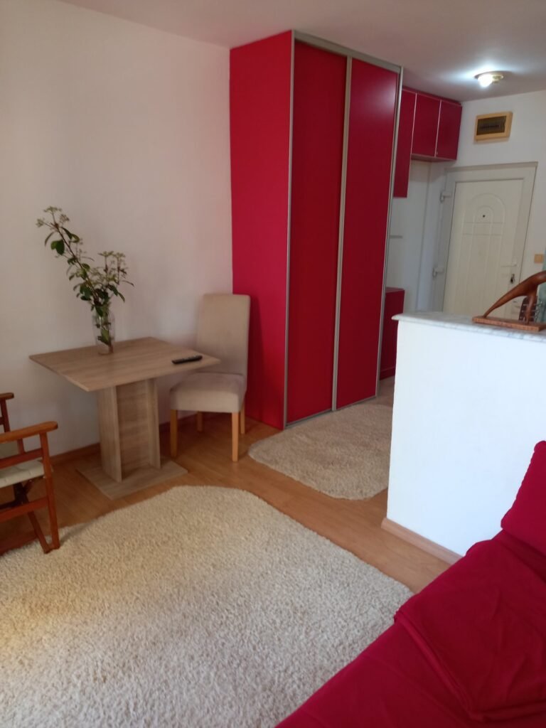 Garsonjera u centru blizu Mega Malla po odličnoj cijeni